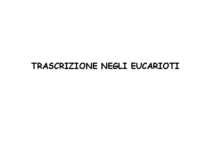 TRASCRIZIONE NEGLI EUCARIOTI 