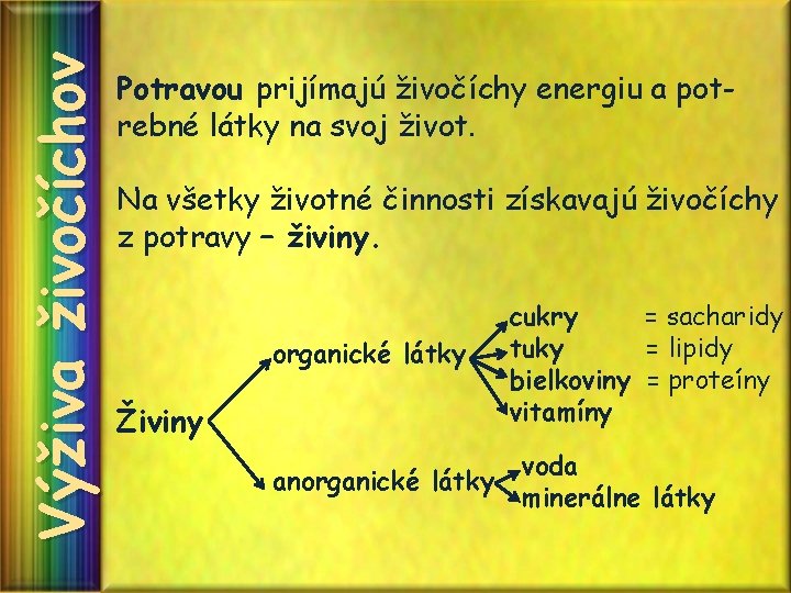 Výživa živočíchov Potravou prijímajú živočíchy energiu a potrebné látky na svoj život. Na všetky