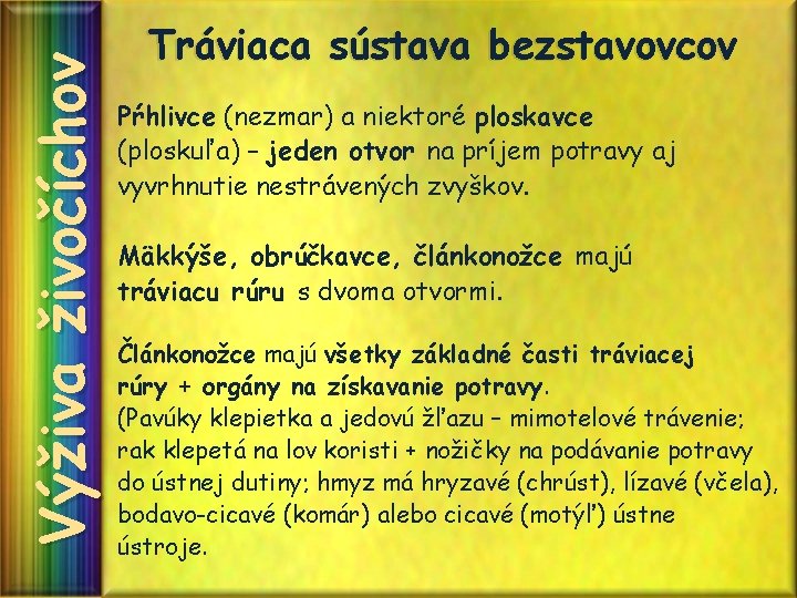 Výživa živočíchov Tráviaca sústava bezstavovcov Pŕhlivce (nezmar) a niektoré ploskavce (ploskuľa) – jeden otvor