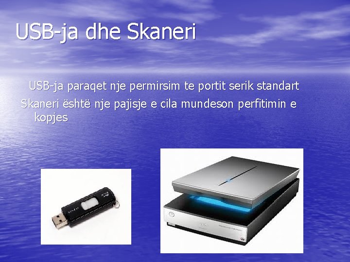 USB-ja dhe Skaneri USB-ja paraqet nje permirsim te portit serik standart Skaneri është nje