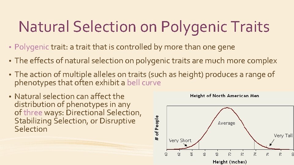 Natural Selection on Polygenic Traits • Polygenic trait: a trait that is controlled by