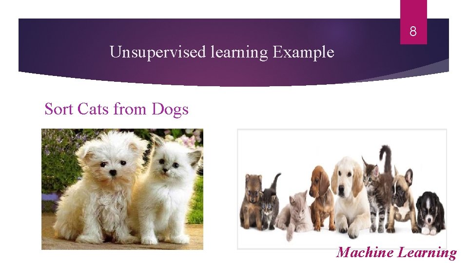 8 Unsupervised learning Example Sort Cats from Dogs Machine Learning 