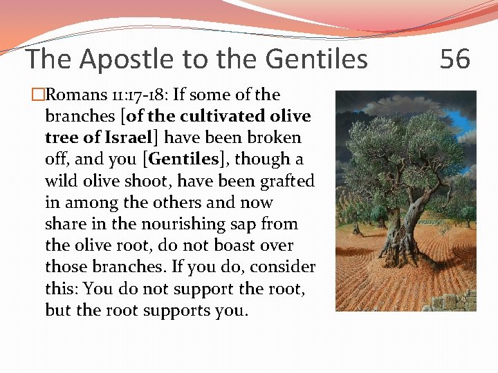 The Apostle to the Gentiles �Romans 11: 17 -18: If some of the branches