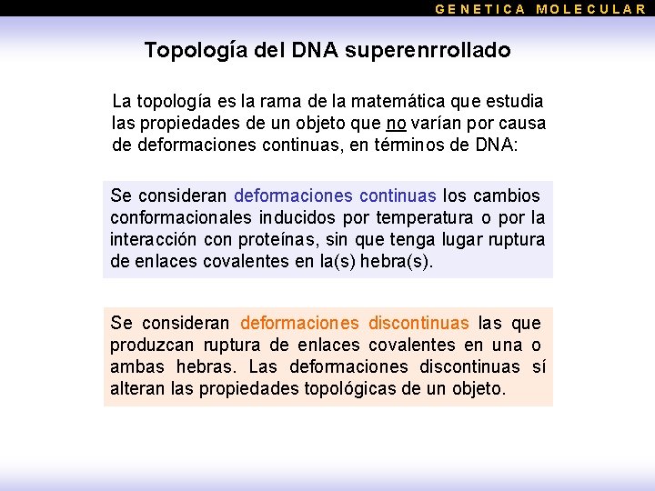 GENETICA MOLECULAR Topología del DNA superenrrollado La topología es la rama de la matemática
