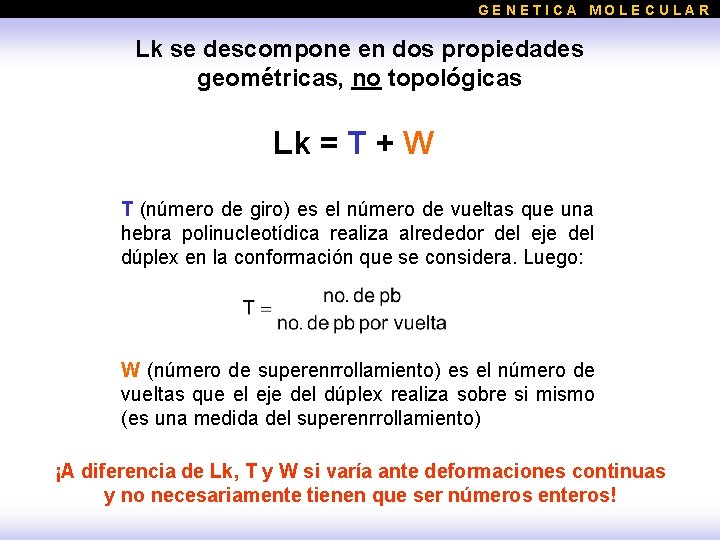 GENETICA MOLECULAR Lk se descompone en dos propiedades geométricas, no topológicas Lk = T