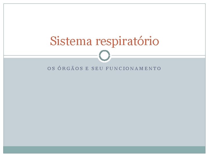 Sistema respiratório OS ÓRGÃOS E SEU FUNCIONAMENTO 