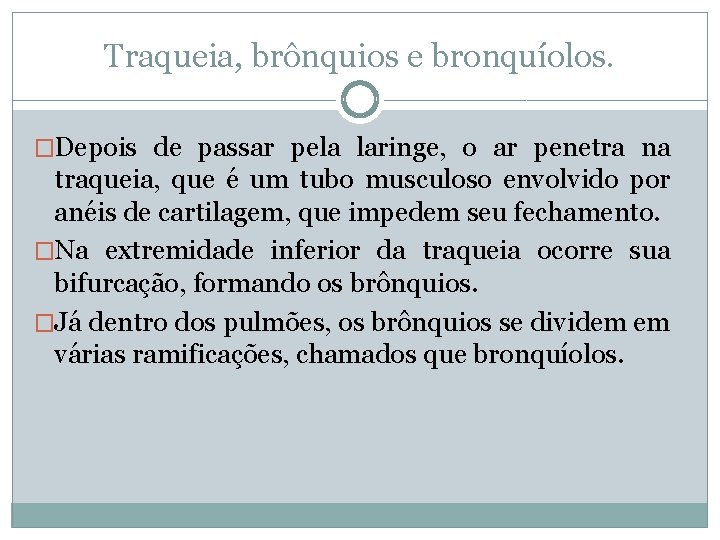 Traqueia, brônquios e bronquíolos. �Depois de passar pela laringe, o ar penetra na traqueia,