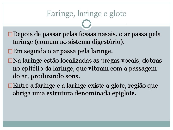 Faringe, laringe e glote �Depois de passar pelas fossas nasais, o ar passa pela