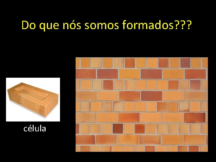 Do que nós somos formados? ? ? célula 