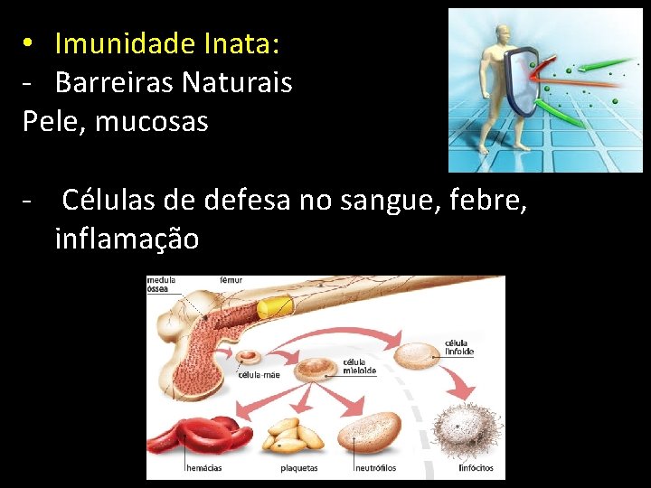  • Imunidade Inata: - Barreiras Naturais Pele, mucosas - Células de defesa no