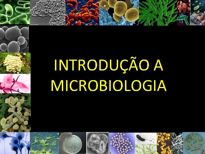 INTRODUÇÃO A MICROBIOLOGIA 