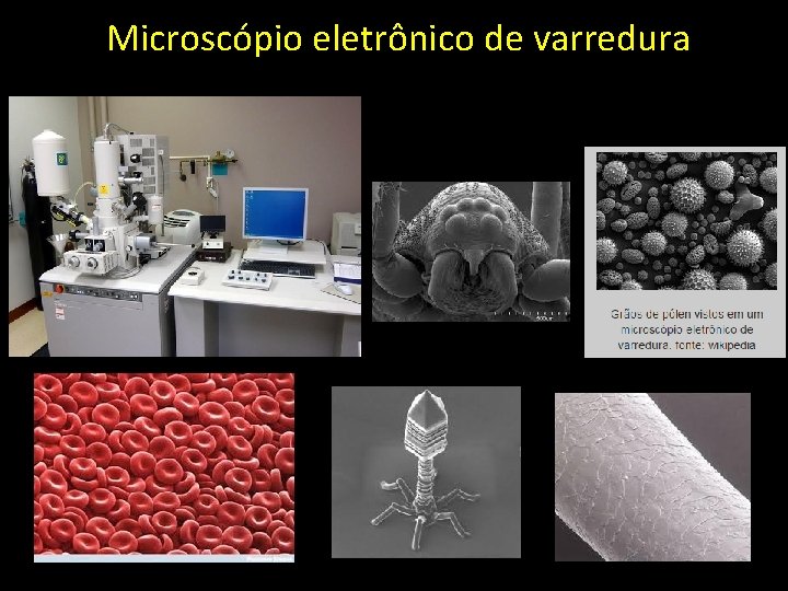 Microscópio eletrônico de varredura 