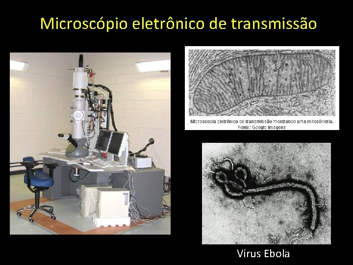 Microscópio eletrônico de transmissão Vírus Ebola 