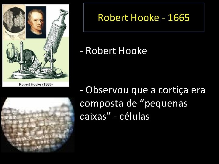 Robert Hooke - 1665 - Robert Hooke - Observou que a cortiça era composta