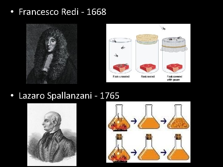  • Francesco Redi - 1668 • Lazaro Spallanzani - 1765 