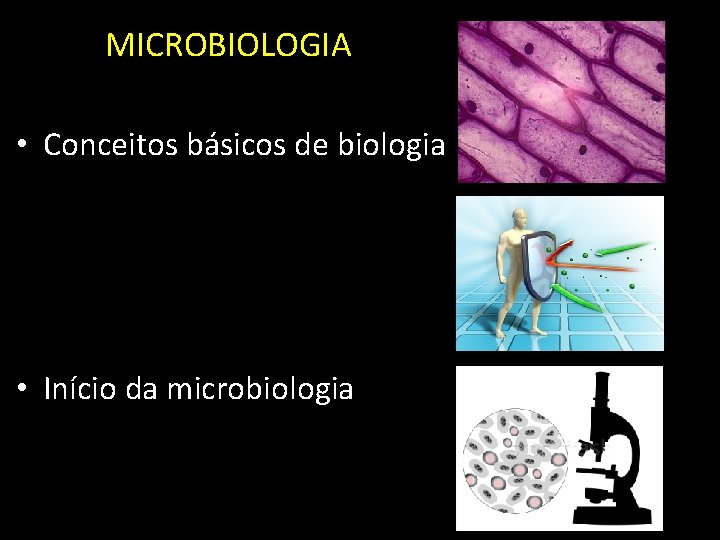 MICROBIOLOGIA • Conceitos básicos de biologia • Início da microbiologia 