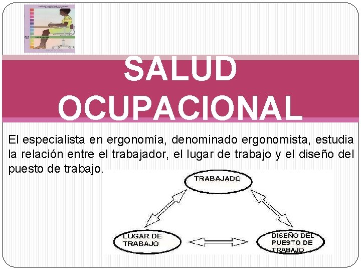 SALUD OCUPACIONAL El especialista en ergonomía, denominado ergonomista, estudia la relación entre el trabajador,