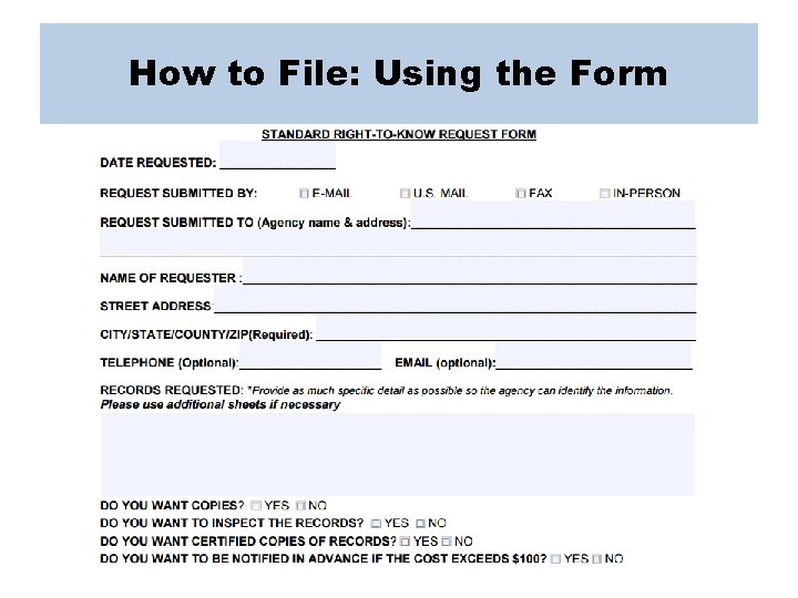 How to File: Using the Form 