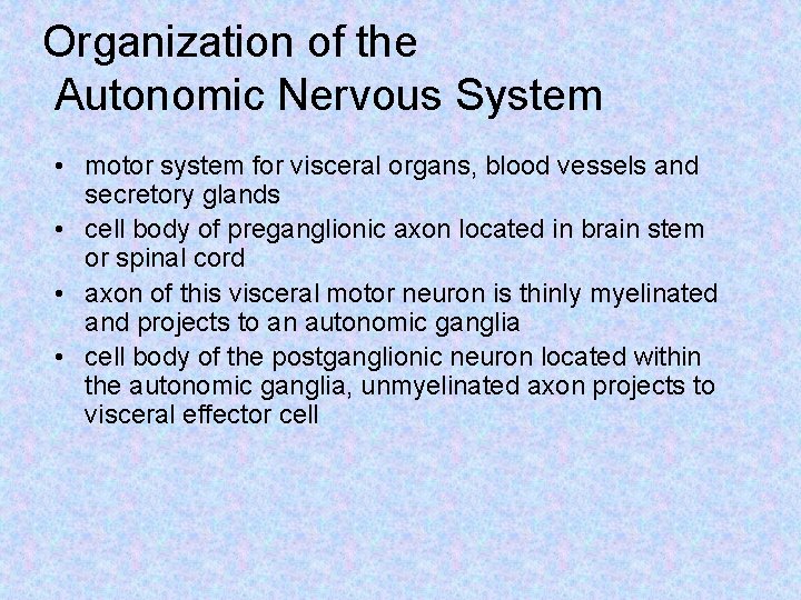 Organization of the Autonomic Nervous System • motor system for visceral organs, blood vessels