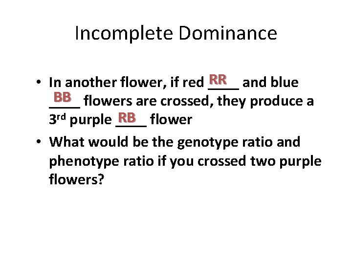 Incomplete Dominance RR and blue • In another flower, if red ____ BB flowers