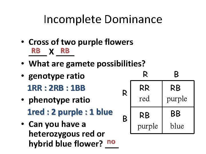 Incomplete Dominance • Cross of two purple flowers RB X ____ RB ____ •