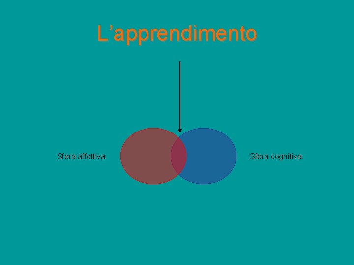 L’apprendimento Sfera affettiva Sfera cognitiva 