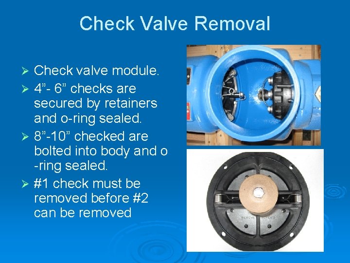 Check Valve Removal Check valve module. Ø 4”- 6” checks are secured by retainers