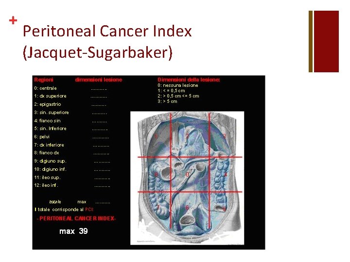 + Peritoneal Cancer Index (Jacquet-Sugarbaker) 