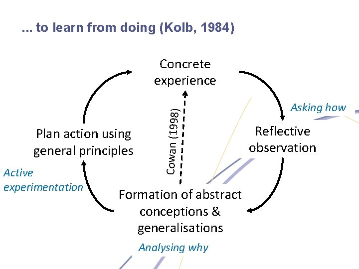 . . . to learn from doing (Kolb, 1984) Plan action using general principles