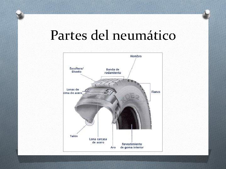 Partes del neumático 
