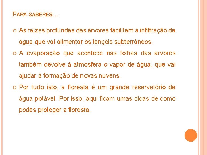 PARA SABERES… As raízes profundas árvores facilitam a infiltração da água que vai alimentar