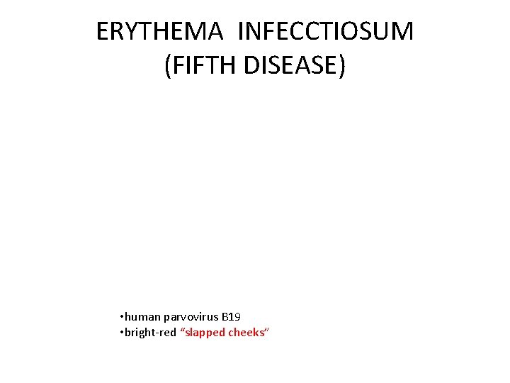 ERYTHEMA INFECCTIOSUM (FIFTH DISEASE) • human parvovirus B 19 • bright-red “slapped cheeks” 
