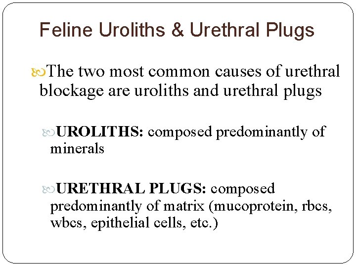 Feline Uroliths & Urethral Plugs The two most common causes of urethral blockage are