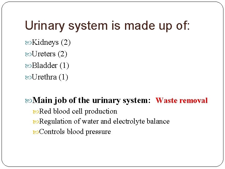 Urinary system is made up of: Kidneys (2) Ureters (2) Bladder (1) Urethra (1)