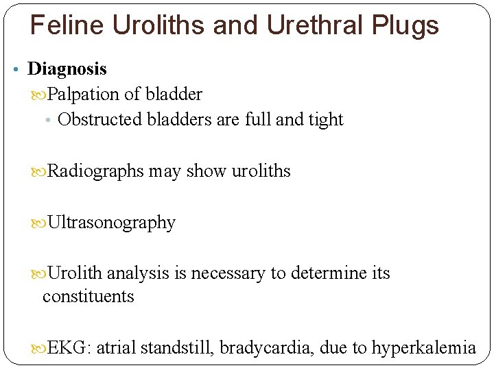 Feline Uroliths and Urethral Plugs • Diagnosis Palpation of bladder • Obstructed bladders are