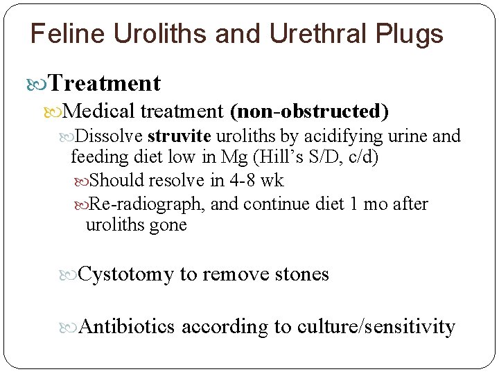 Feline Uroliths and Urethral Plugs Treatment Medical treatment (non-obstructed) Dissolve struvite uroliths by acidifying