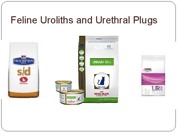Feline Uroliths and Urethral Plugs 