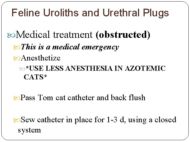 Feline Uroliths and Urethral Plugs Medical treatment (obstructed) This is a medical emergency Anesthetize
