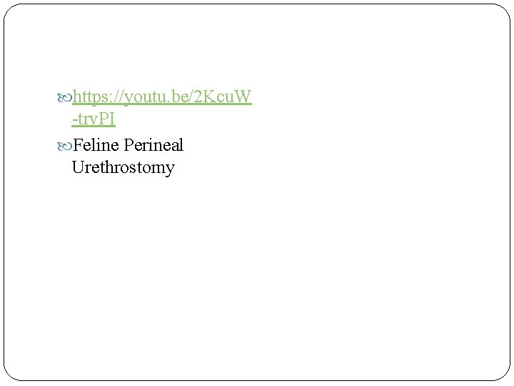  https: //youtu. be/2 Kcu. W -trv. PI Feline Perineal Urethrostomy 
