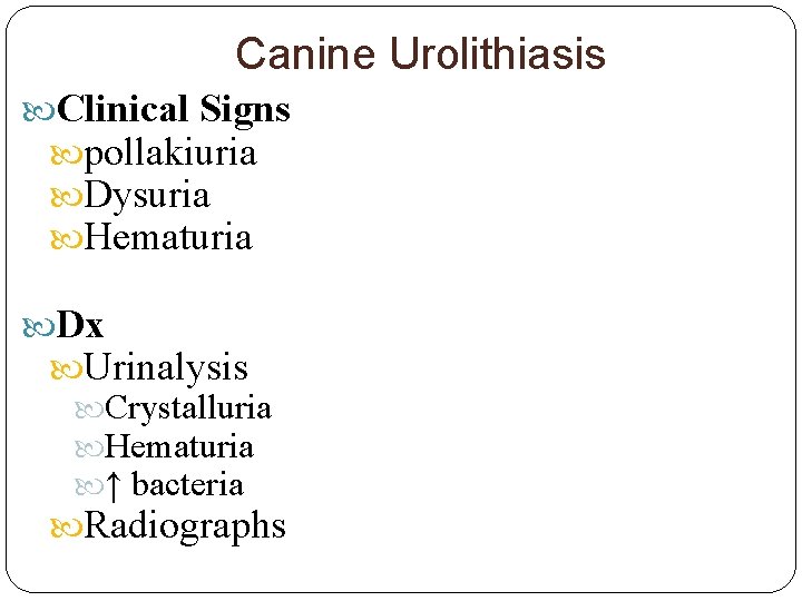 Canine Urolithiasis Clinical Signs pollakiuria Dysuria Hematuria Dx Urinalysis Crystalluria Hematuria ↑ bacteria Radiographs