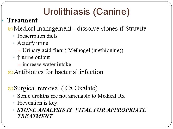Urolithiasis (Canine) • Treatment Medical management - dissolve stones if Struvite • Prescription diets