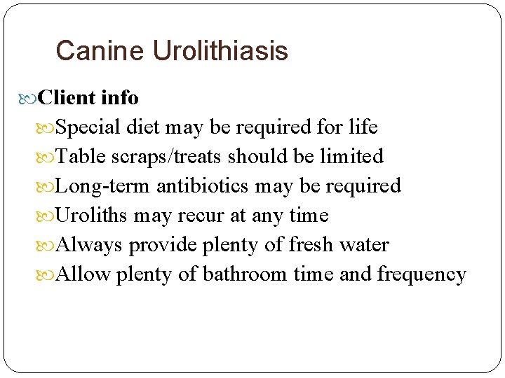 Canine Urolithiasis Client info Special diet may be required for life Table scraps/treats should