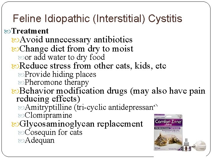 Feline Idiopathic (Interstitial) Cystitis Treatment Avoid unnecessary antibiotics Change diet from dry to moist