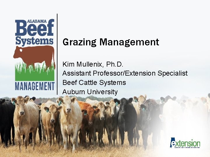 Grazing Management Kim Mullenix, Ph. D. Assistant Professor/Extension Specialist Beef Cattle Systems Auburn University