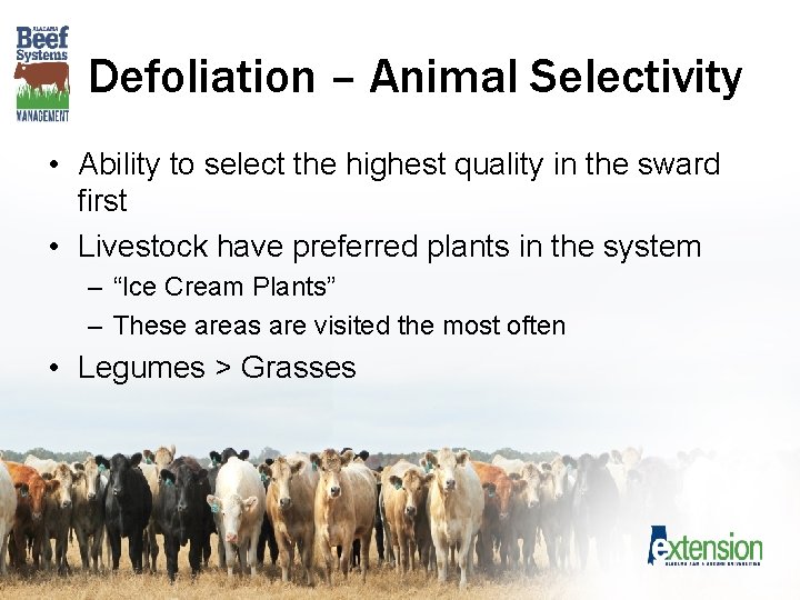 Defoliation – Animal Selectivity • Ability to select the highest quality in the sward