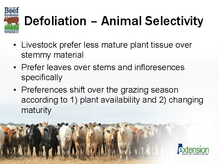 Defoliation – Animal Selectivity • Livestock prefer less mature plant tissue over stemmy material