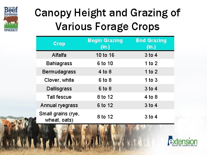 Canopy Height and Grazing of Various Forage Crops Crop Begin Grazing (in. ) End