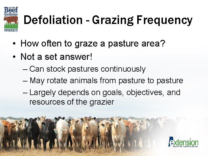 Defoliation - Grazing Frequency • How often to graze a pasture area? • Not