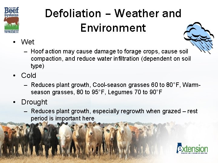 Defoliation – Weather and Environment • Wet – Hoof action may cause damage to