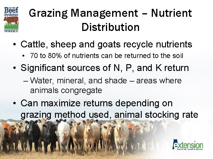 Grazing Management – Nutrient Distribution • Cattle, sheep and goats recycle nutrients • 70